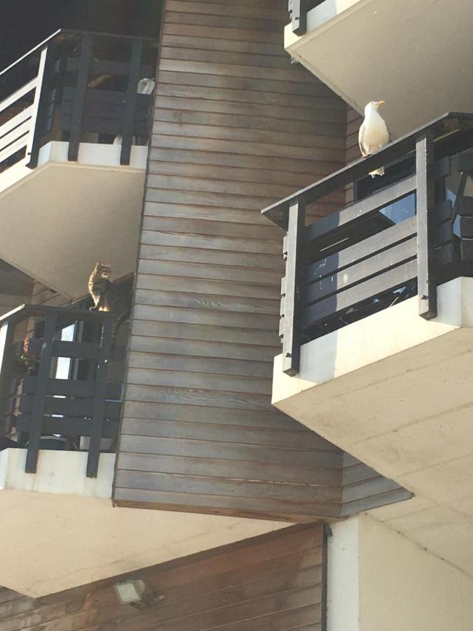Mon Balcon Face A La Mer - Les Marinas Довиль Экстерьер фото